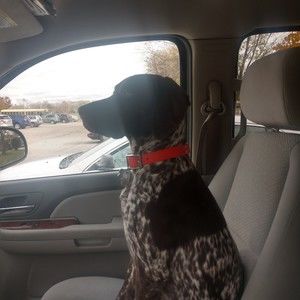 Meet your Posher, Aaron